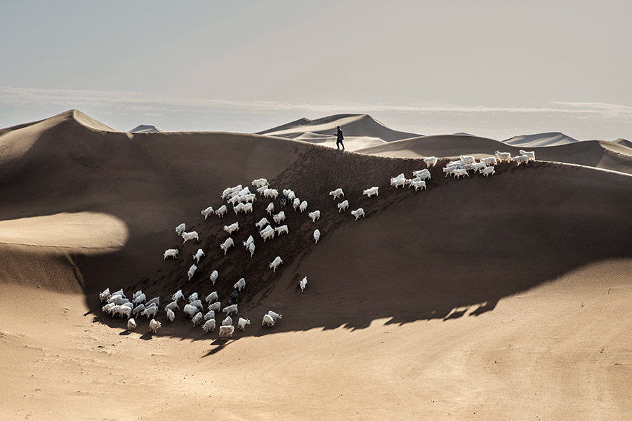 ������ � �����, �������� ��� ����