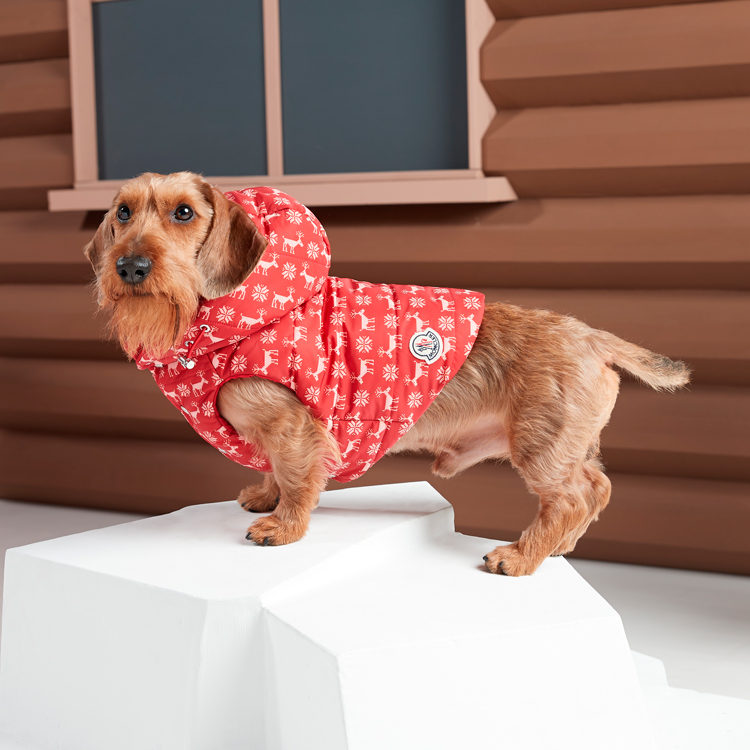 Moncler � Poldo Dog Couture �� ����� ����� ������ ���������� �����